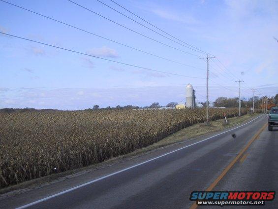 Green pickup truck driving on a rural road next to a cornfield