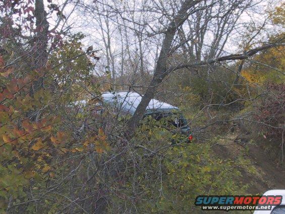 SUV is partially hidden by trees and foliage, with its front end angled towards the viewer