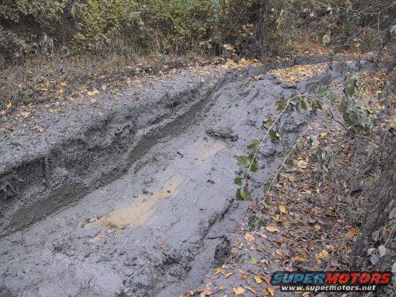 Muddy track with tire ruts in a wooded area. Fallen leaves are on the ground