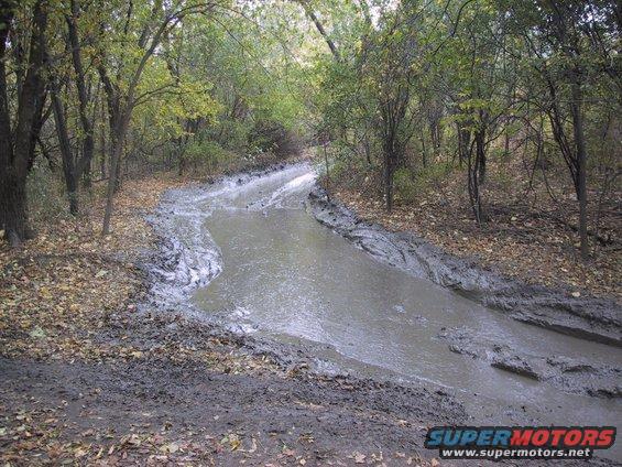 Muddy forest road with a large puddle and tire tracks