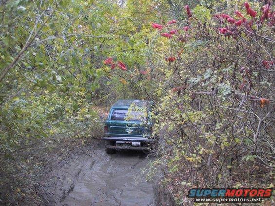 Green SUV navigating a muddy path through dense foliage
