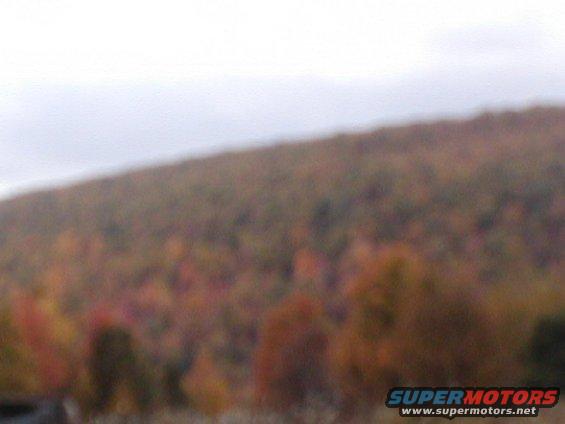 Autumn foliage on a hillside with a watermark