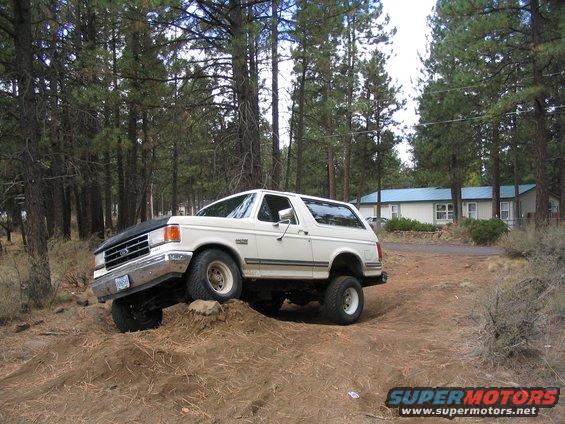 good-flex-2.jpg a little more