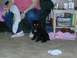 1997 Ford Expedition - A black poodle dog sits on a carpeted floor next to a person and a wooden side table.