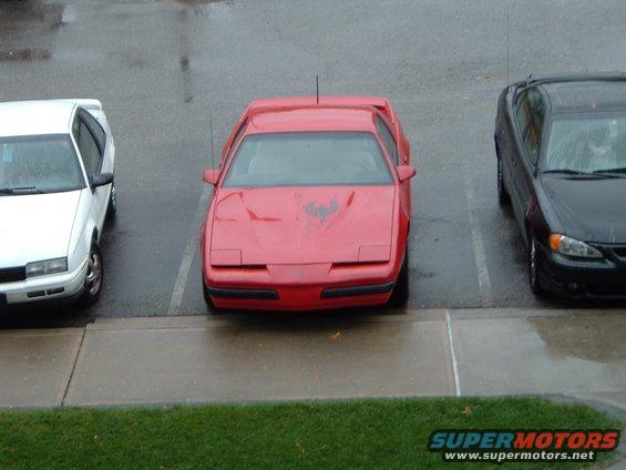 chicken-004.jpg From my room