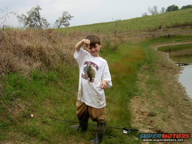 camping-024.jpg 