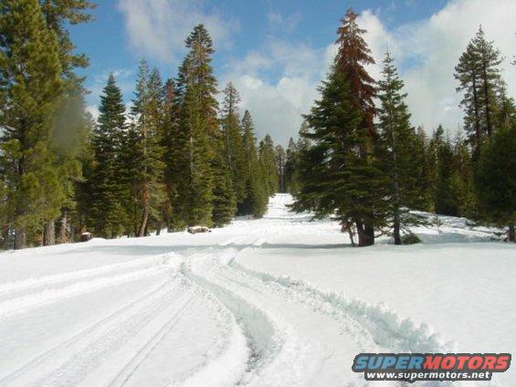 dsc02752.jpg mormon emigrant trail - im guessing about 5000 ft.  Snow was light but still fun.  We ended up going up to leeks lookout, im not sure what the elevation is up there, but it's a fire look out.  and absolutely beautiful unless you are up in the clouds like we were yesterday.  
