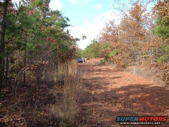 SUV on a dirt road surrounded by trees with fall foliage