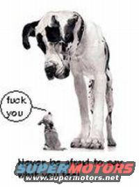 Great Dane looking down at a small dog. Speech bubble says 'fuck you'. Supermotors logo at bottom