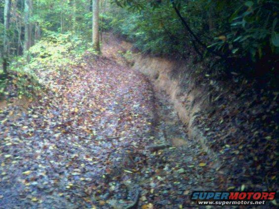 Dirt road covered in leaves with deep tire tracks on the right side, surrounded by trees