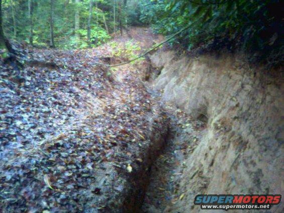 Off-road trail through woods with eroded embankment