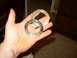 1995 Ford Bronco - A hand displays two used metal rings, possibly automotive parts, against a blurred indoor backdrop.