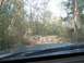 1988 Ford Bronco - Driving through a dense forest on a rough, unpaved path.