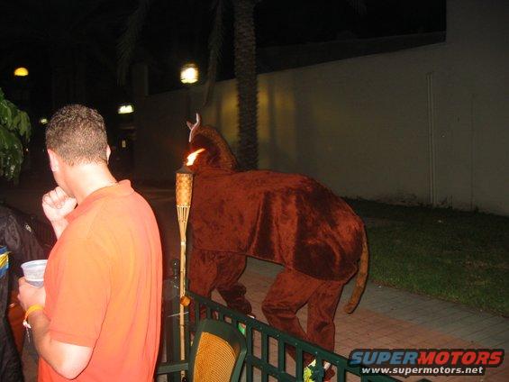 img_0220.jpg The reason for the Great Flight to Naples...the 2 person horse costume makes its grand entrance. 