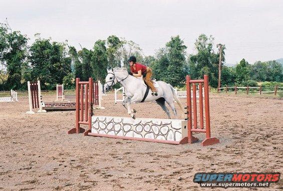 Horse jumping a fence at an equestrian event