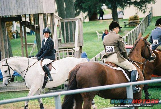 Two riders on horses at a show, one with bib number 300