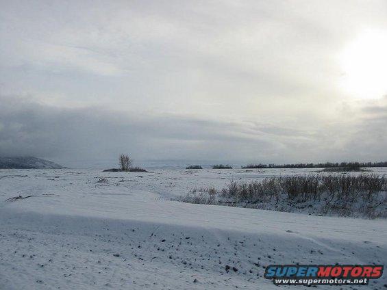 picture-32.jpg BRRRRRRRR. A look up the flats towards the glacier.
