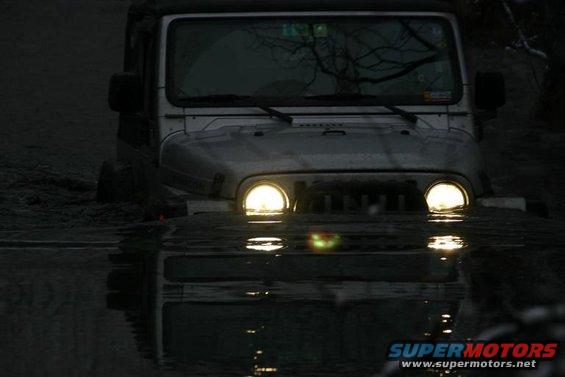 knik-glacier-061.jpg I think he may need a snorkle.