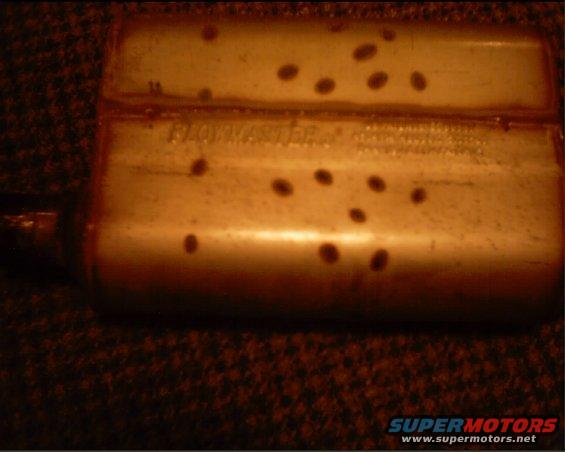 muffler002.jpg 