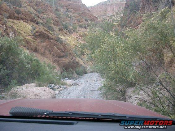 dscn1420.jpg It begins...