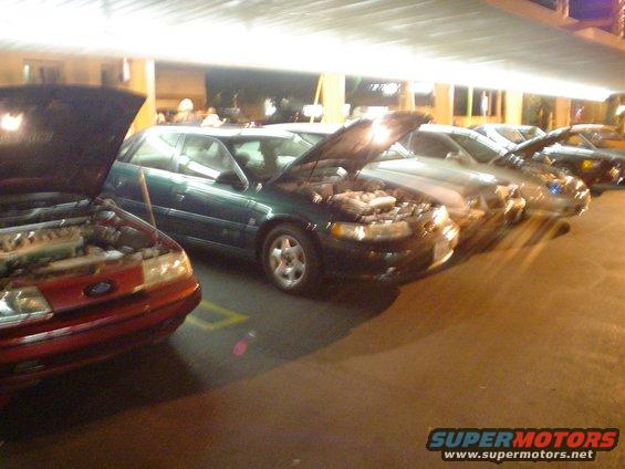 Several cars parked in a row with their hoods up, showing engines