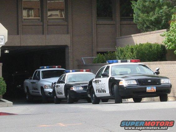 Three police cars, including a Ford Crown Victoria, parked in front of a building