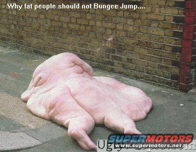 fat-people-bungee.jpg 