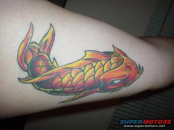 stanghater2.jpg hosted for stanghater