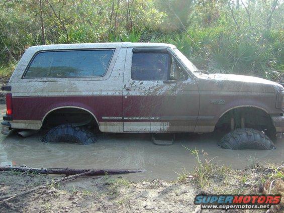 1993 Ford Bronco stuck in mud and water, side view. Tires are submerged