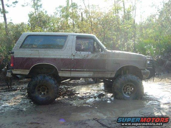 Muddy Ford Bronco with large tires driving through a swampy area
