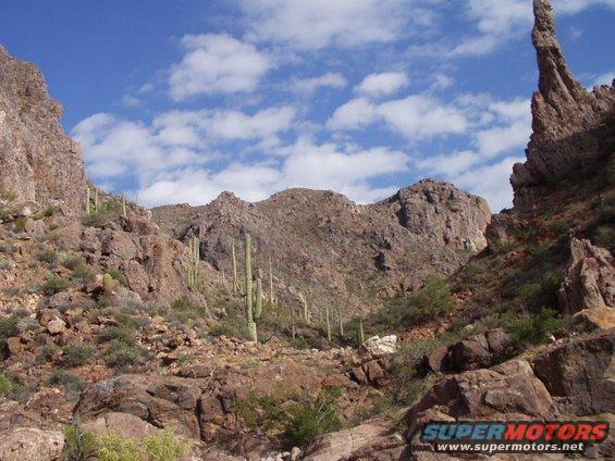 Desert landscape with saguaro cacti and rocky mountains under a blue sky with clouds. Supermotors.net logo visible