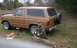 1981 Ford Bronco - Out in the bush where it belongs.