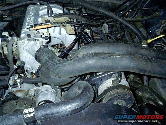 1987 Ford Bronco engine bay with hoses and belts visible