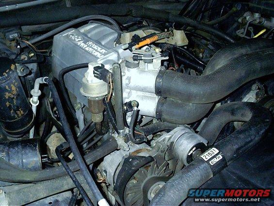 Engine bay with V8 engine components, hoses, and alternator visible
