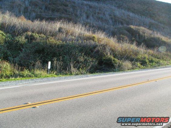 Roadside scene with a white marker post and dry vegetation