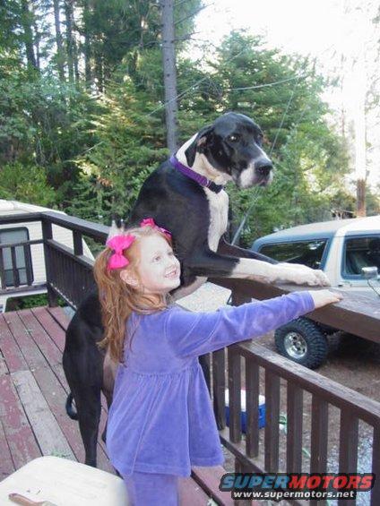 Analise and Katie (the dane)