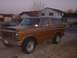 1981 Ford Bronco