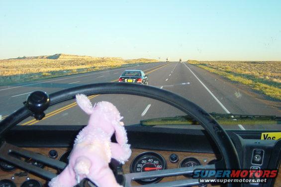 On the way home with a special driver
