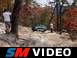 murauders three wheel action
