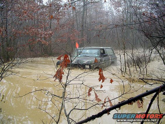 Dark SUV partially submerged in muddy water, surrounded by trees and fallen leaves