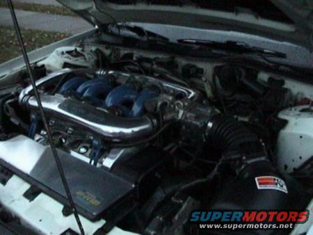 car engine bay with blue intake runners and chrome piping