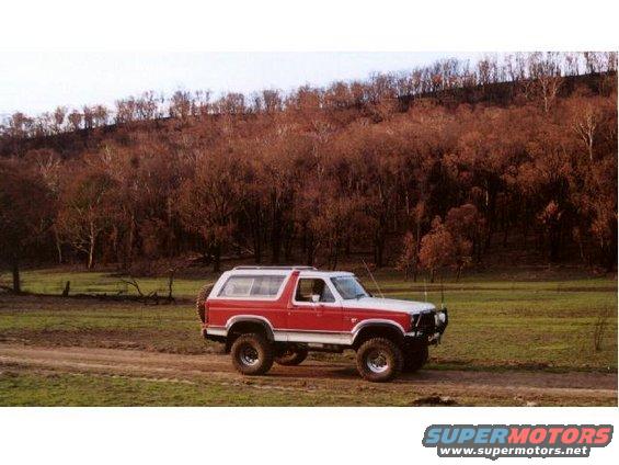 freehold-land-bronc.jpg This Pic was taken after the 2003 Nth East Fires in Gippsland Victoria Australia. The contrast of burnt trees against green grass was amaizing