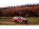 1982 Ford Bronco - This Pic was taken after the 2003 Nth East Fires in Gippsland Victoria Australia. The contrast of burnt trees against green grass was amaiz…