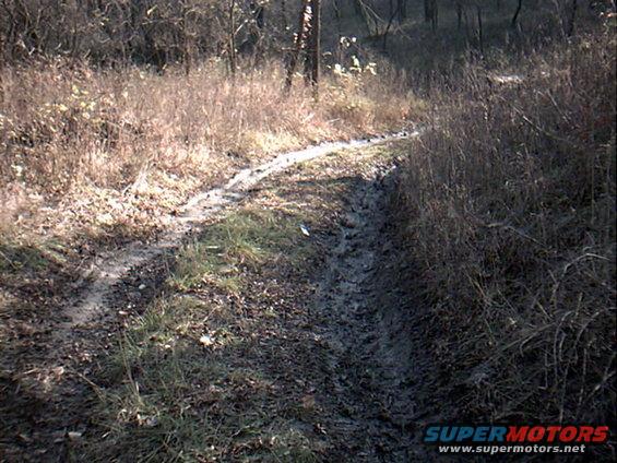 Part of the trail. My Beast made it with ease. My friend is his 72 chevy 2 wheel wouldn't try it b/c our tow rope was too short. 