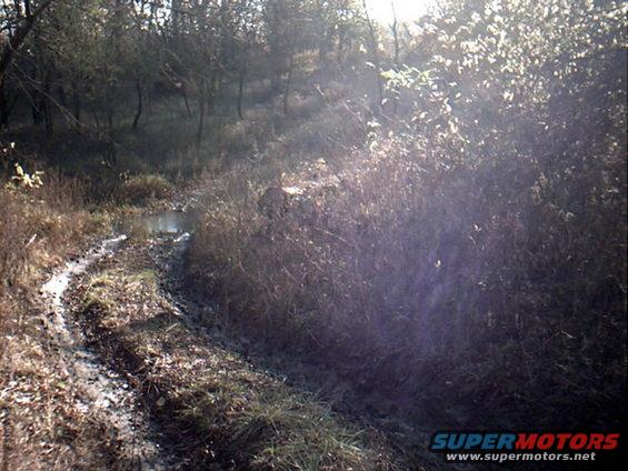 This is a little steeper than it looks. This short trail had a muddy down hill with a creek at the bottom then a rocky up hill. After going up and down the trail twice, once in 4 wheel and once in 2 wheel. We decided to reverse down the muddy part of the hill, stop, then stomp it in 4 wheel, now talk about spinning!