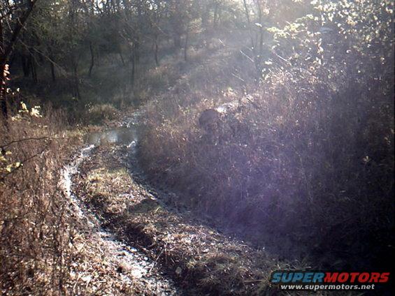 First trip pic. I wish I would of had my camera on the 2nd trip. There was a lot more mud. I will go back someday and get pics and tear the shit up again. 