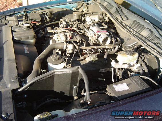 September 26, 2004
Side view of throttle bdy spacer and heat shield installed.