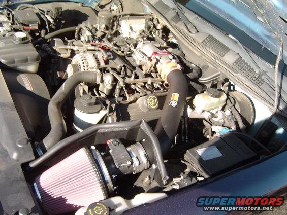 dsc00850.jpg September 26, 2004
Side view of complete K&N Cold Fuel Injection Performance Kit and Poweraid throttle body spacer installed.