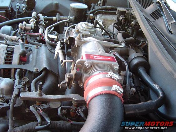 dsc00857.jpg September 26, 2004
Side view of the Poweraid throttle body installation complete.