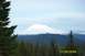 1996 Ford Bronco - Mt. Adams